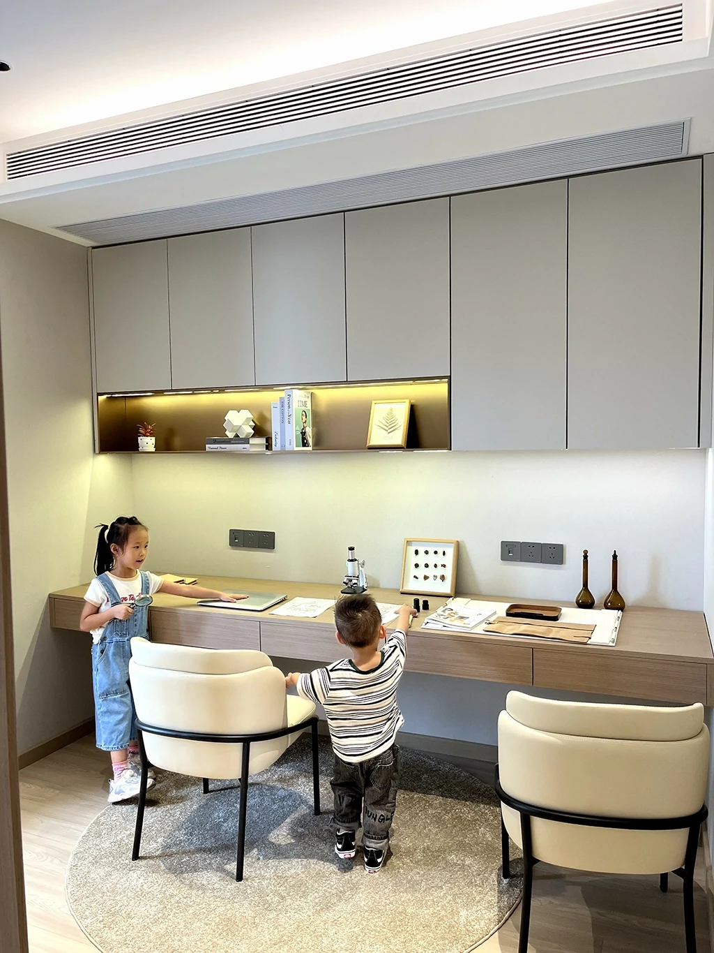 Image of Should You Buy Display Cabinets? Great Value But With Hidden Risks